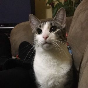 Meet your Posher, Sara