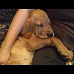 Meet your Posher, Heather