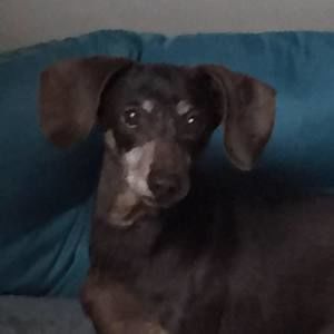 Meet your Posher, Shalon