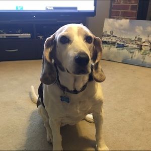 Meet your Posher, Taylor