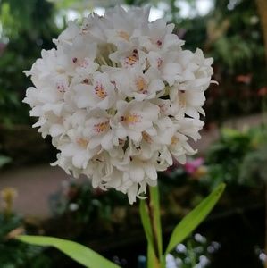 Meet your Posher, Garrett