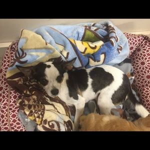 Meet your Posher, Brittney