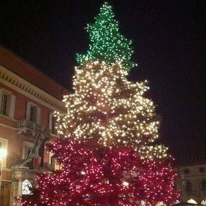 Meet your Posher, Elizabeth sam