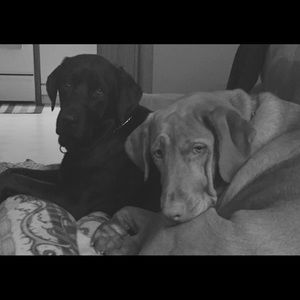 Meet your Posher, Julie