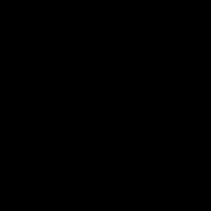 Meet your Posher, Kay