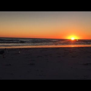 Faux Leather Jacket Bundle