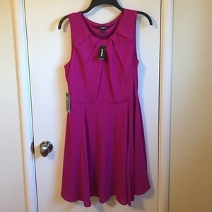 Express Pleated Fit and Flare Dress - Rose