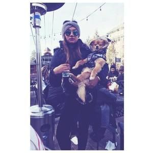 Meet your Posher, Shar