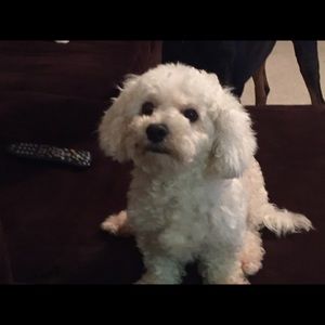 Meet your Posher, Gloria