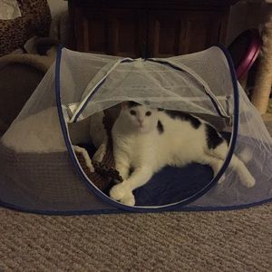 Meet your Posher, Jackke