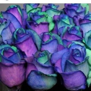 Meet your Posher, Debra