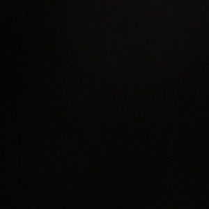 Meet your Posher, Gavin