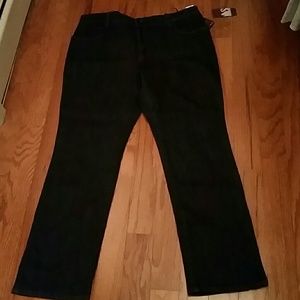 Gloria Vanderbilt 16p