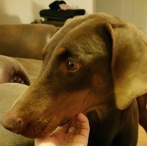 Meet your Posher, Macey