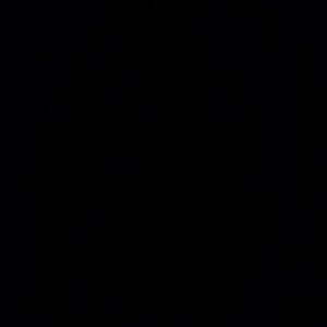 Meet your Posher, Janice