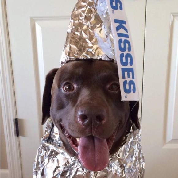 Meet your Posher, Izzy