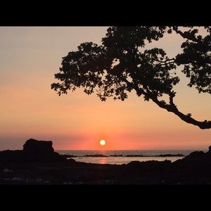 Meet your Posher, Roxanne