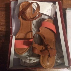 Breckelle's American Honey: Coral wedges 5.5