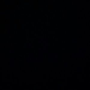 Meet your Posher, Seline