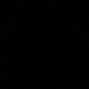 Meet your Posher, Evan