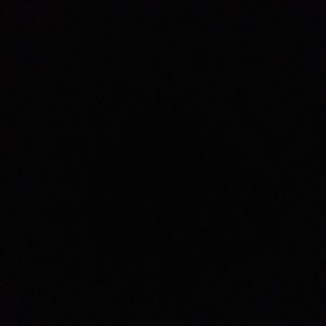 Meet your Posher, Rose