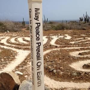 Meet your Posher, Shelly