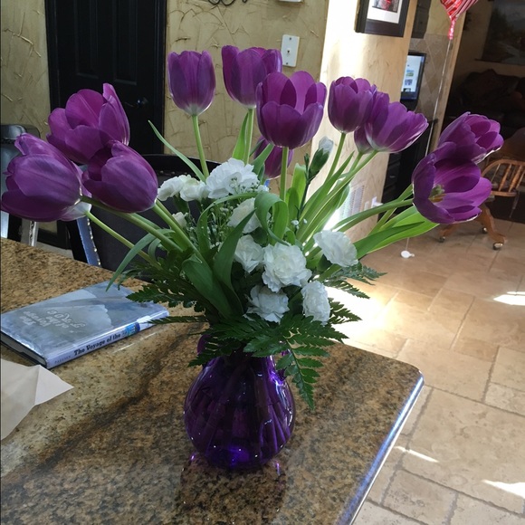 Meet your Posher, Shelby - Picture 1 of 1