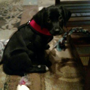 Meet your Posher, Jane