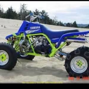 Meet your Posher, Phillip