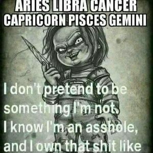 Meet your Posher, Shane