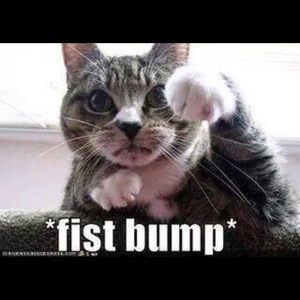 Meet your Posher, Melissa