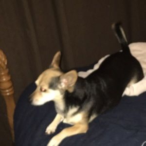 Meet your Posher, Terri