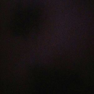 Meet your Posher, Dalia