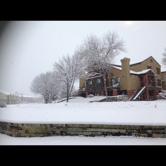 Meet your Posher, Chi - Picture 1 of 1