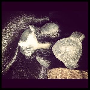 Meet your Posher, Jennae