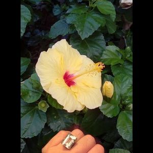 Marilyn Monroe ring  💋