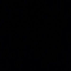 Meet your Posher, Carolyn