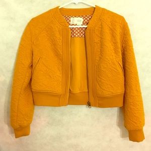 Little Anthologies Jacket