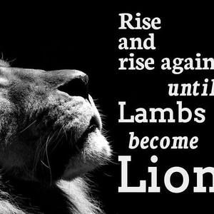 Meet your Posher, Jesse