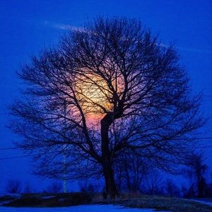 Meet your Posher, Eva