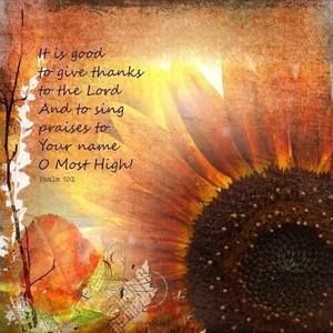 Meet your Posher, Jayme