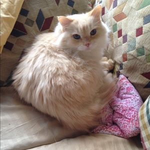 Meet your Posher, Marie