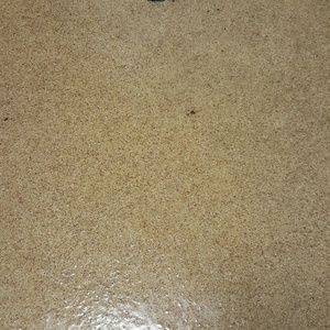 Meet your Posher, Dennis