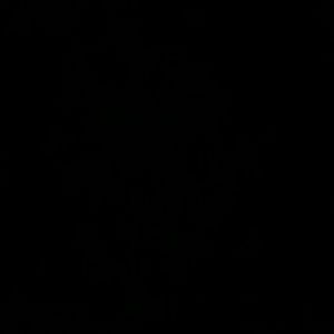 Meet your Posher, Pierre