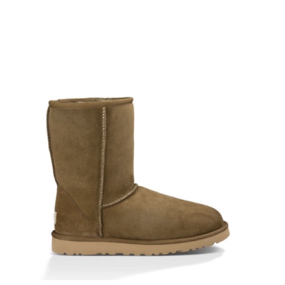 ugg dry leaf short ugg dry leaf short