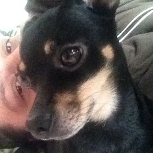 Meet your Posher, Max