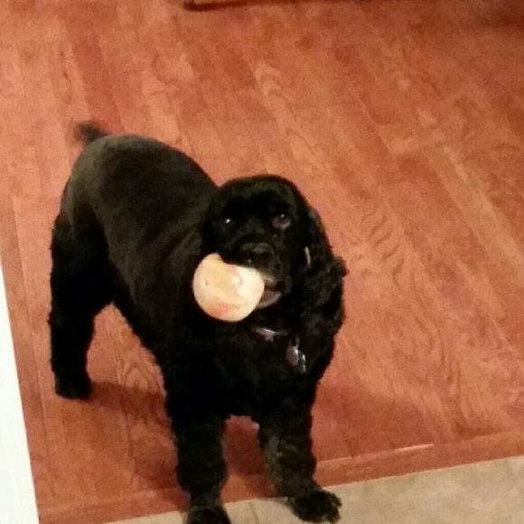 Play ball