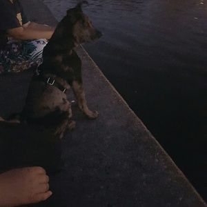 Meet your Posher, Kimberly