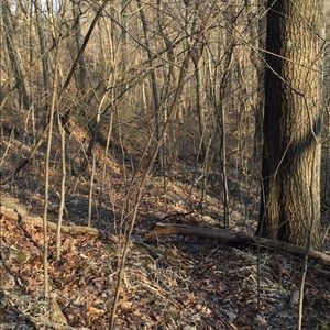 Meet your Posher, Dillon