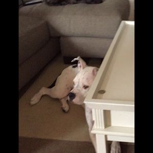 Meet your Posher, Marc